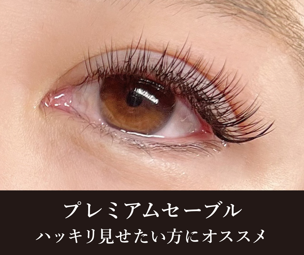 プレミアムセーブル